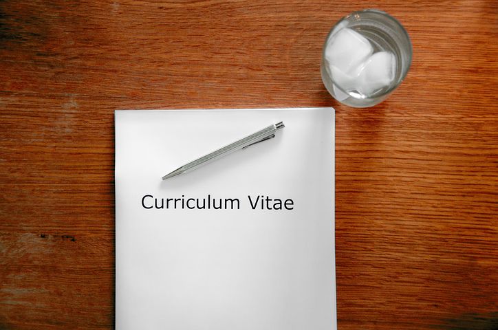 Pour quel type de modèle de CV opter en 2019 ?