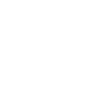 Home icon
